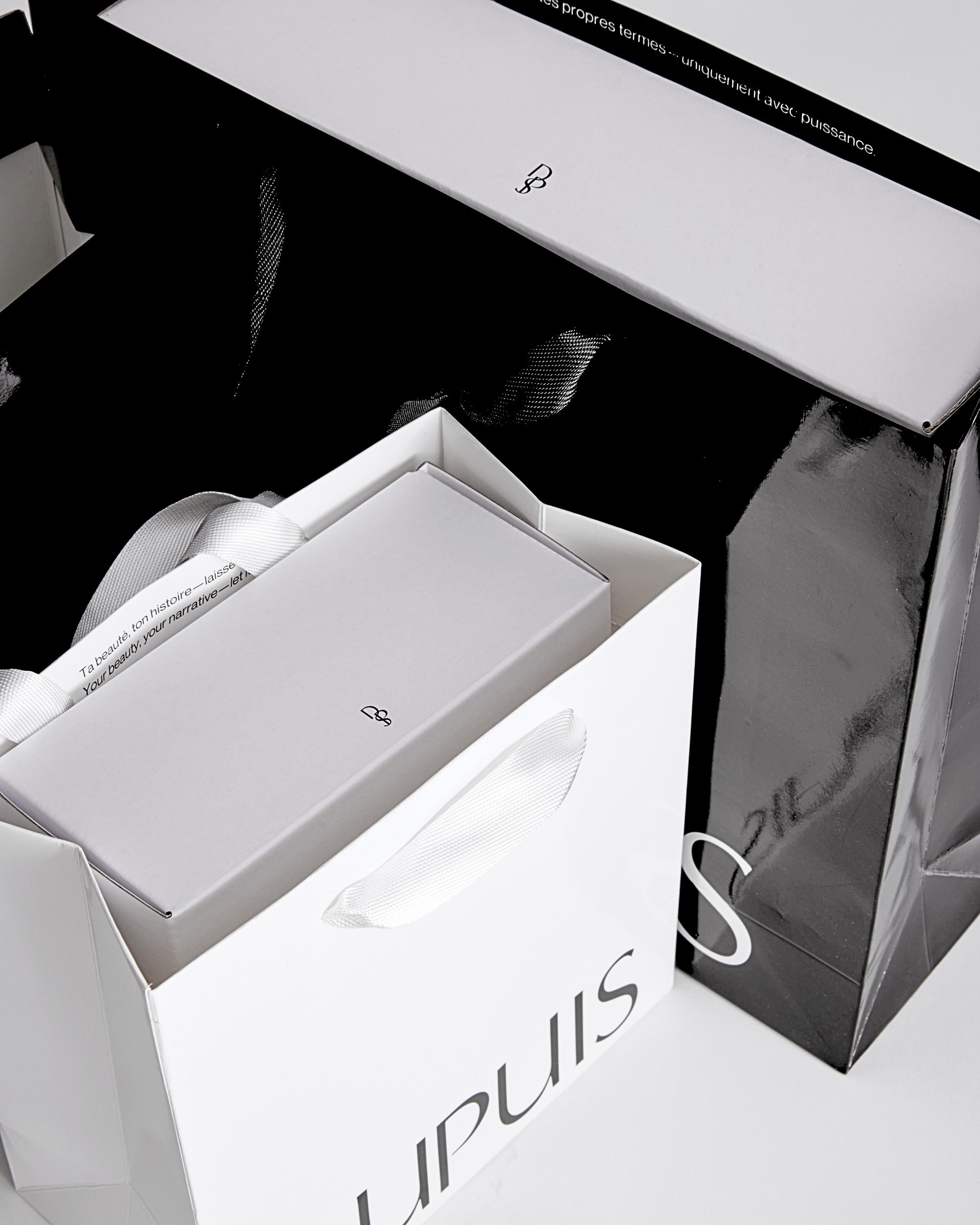 Duo des sacs de magasinage Dupuis